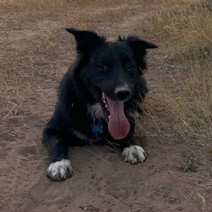 Meet your Posher, Corey